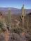 View of Roosevelt Lake from the Cliff Dwellings