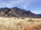 Santa Rita Mountains from Green Valley