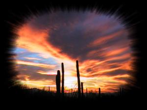 Arizona sunset